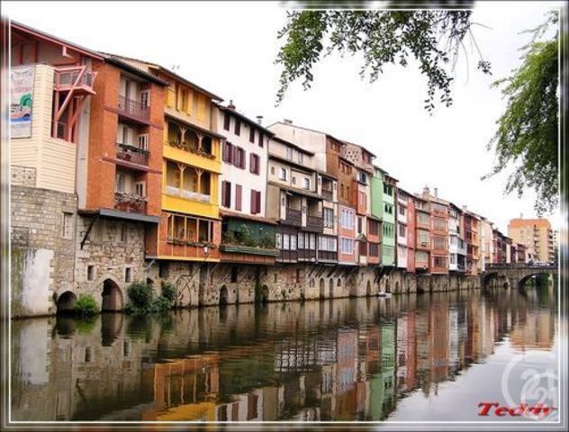 Afficher la photo en grand commerce à louer - 30.0 m2 - CASTRES - 81 - MIDI-PYRENEES - Century 21 C.G.I.