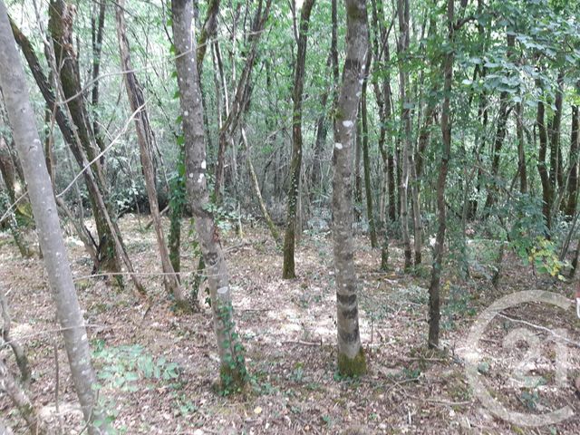 Afficher la photo en grand terrain à vendre - 2260.0 m2 - VIVIERS LES MONTAGNES - 81 - MIDI-PYRENEES - Century 21 C.G.I.