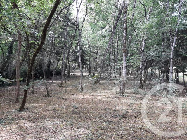 Afficher la photo en grand terrain à vendre - 2260.0 m2 - VIVIERS LES MONTAGNES - 81 - MIDI-PYRENEES - Century 21 C.G.I.