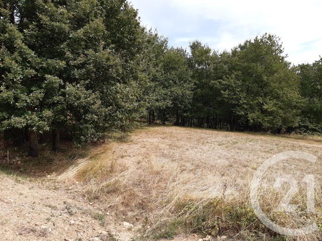 Afficher la photo en grand terrain à vendre - 2260.0 m2 - VIVIERS LES MONTAGNES - 81 - MIDI-PYRENEES - Century 21 C.G.I.