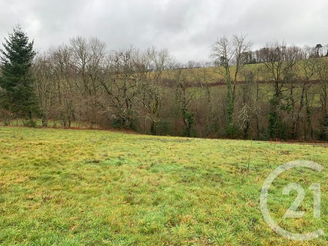 Afficher la photo en grand terrain à vendre - 1860.0 m2 - LACROUZETTE - 81 - MIDI-PYRENEES - Century 21 C.G.I.