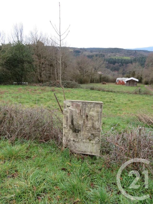 Afficher la photo en grand terrain à vendre - 1919.0 m2 - BOISSEZON - 81 - MIDI-PYRENEES - Century 21 C.G.I.
