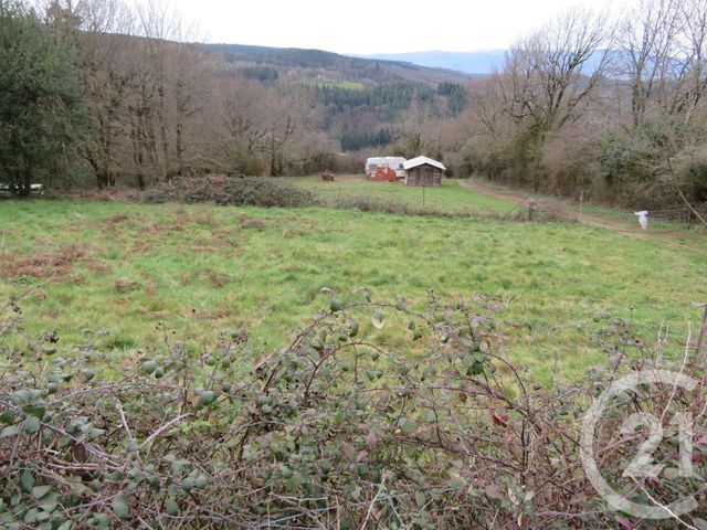 Afficher la photo en grand terrain à vendre - 1919.0 m2 - BOISSEZON - 81 - MIDI-PYRENEES - Century 21 C.G.I.
