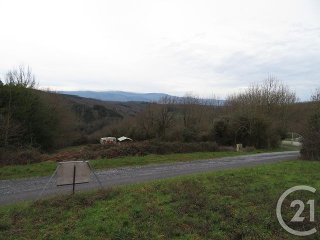 Afficher la photo en grand terrain à vendre - 7799.0 m2 - BOISSEZON - 81 - MIDI-PYRENEES - Century 21 C.G.I.
