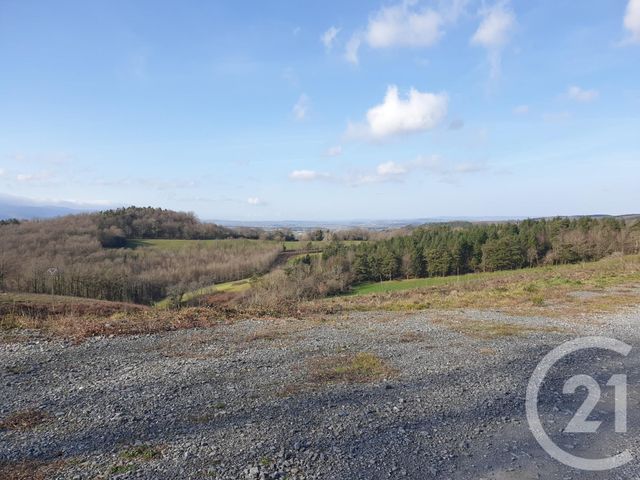Afficher la photo en grand terrain à vendre - 7799.0 m2 - BOISSEZON - 81 - MIDI-PYRENEES - Century 21 C.G.I.