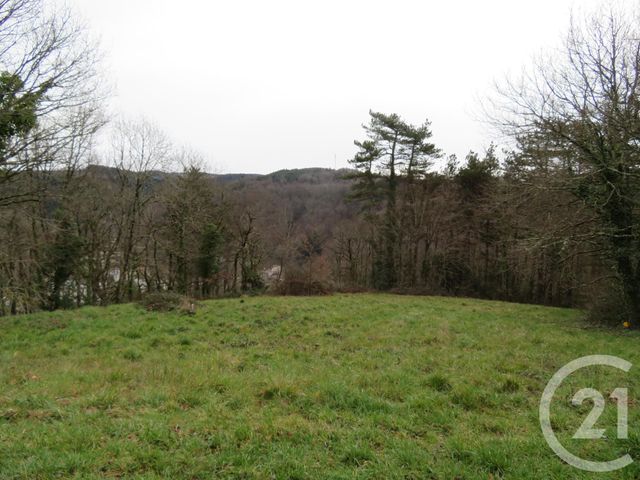 Afficher la photo en grand terrain à vendre - 7799.0 m2 - BOISSEZON - 81 - MIDI-PYRENEES - Century 21 C.G.I.