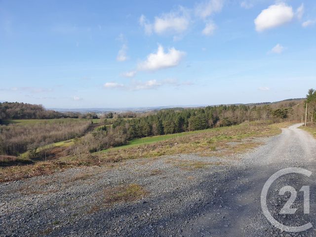 Afficher la photo en grand terrain à vendre - 7799.0 m2 - BOISSEZON - 81 - MIDI-PYRENEES - Century 21 C.G.I.