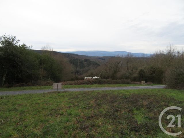 Afficher la photo en grand terrain à vendre - 742.0 m2 - BOISSEZON - 81 - MIDI-PYRENEES - Century 21 C.G.I.