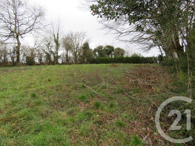 Afficher la photo en grand terrain à vendre - 742.0 m2 - BOISSEZON - 81 - MIDI-PYRENEES - Century 21 C.G.I.