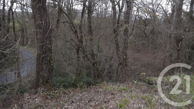 immeuble à vendre - 1240.0 m2 - CASTRES - 81 - MIDI-PYRENEES - Century 21 C.G.I. immeuble à vendre - 1240.0 m2 - CASTRES - 81 - MIDI-PYRENEES - Century 21 C.G.I.