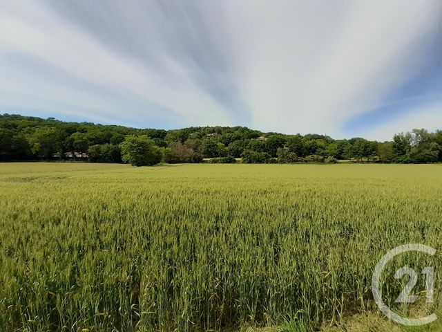 maison à vendre - 5 pièces - 84.0 m2 - VIVIERS LES MONTAGNES - 81 - MIDI-PYRENEES - Century 21 C.G.I. maison à vendre - 5 pièces - 84.0 m2 - VIVIERS LES MONTAGNES - 81 - MIDI-PYRENEES - Century 21 C.G.I.