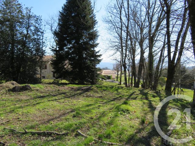 terrain - ST SALVY DE LA BALME - 81