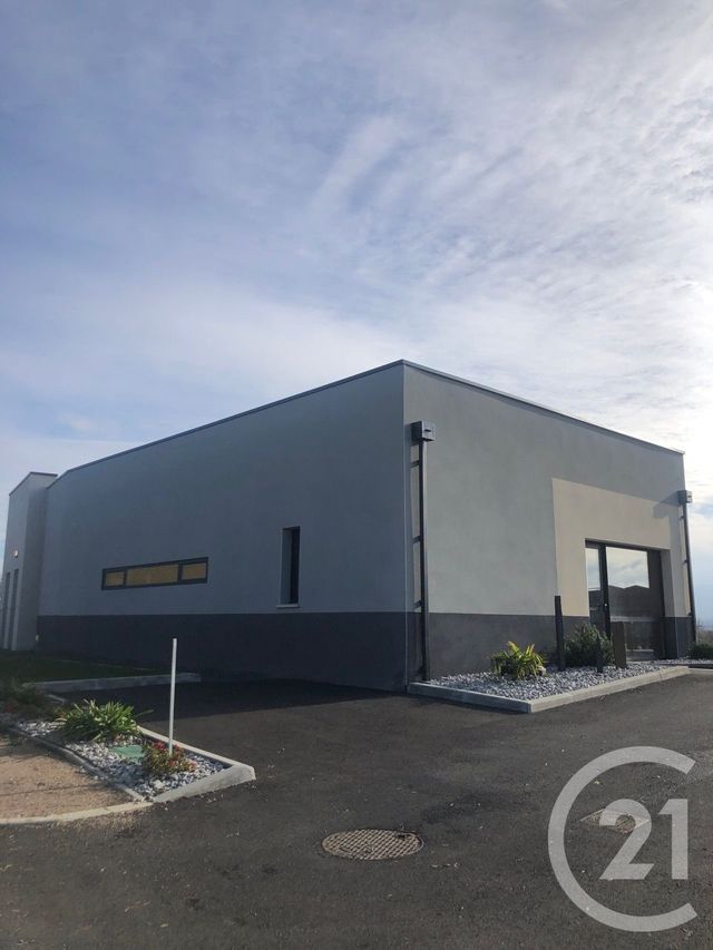 maison à louer - 5 pièces - 130.0 m2 - CASTRES - 81 - MIDI-PYRENEES - Century 21 C.G.I.