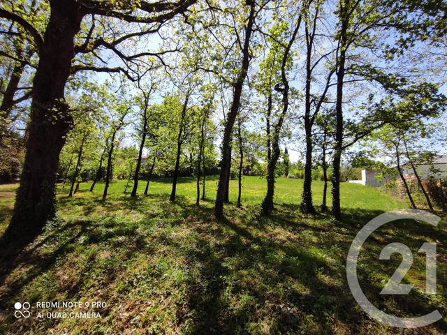 terrain à vendre - 3283.0 m2 - SAIX - 81 - MIDI-PYRENEES - Century 21 C.G.I.