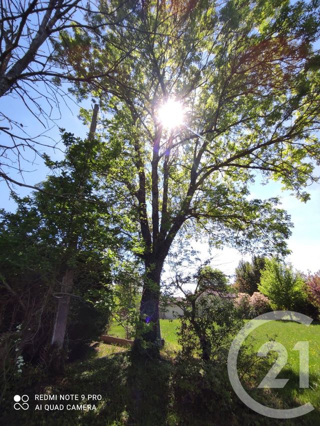 terrain à vendre - 3283.0 m2 - SAIX - 81 - MIDI-PYRENEES - Century 21 C.G.I.