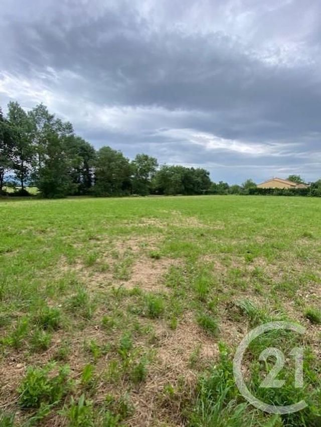 terrain à vendre - 1800.0 m2 - LESCOUT - 81 - MIDI-PYRENEES - Century 21 C.G.I.
