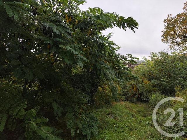 terrain à vendre - 719.0 m2 - BURLATS - 81 - MIDI-PYRENEES - Century 21 C.G.I.