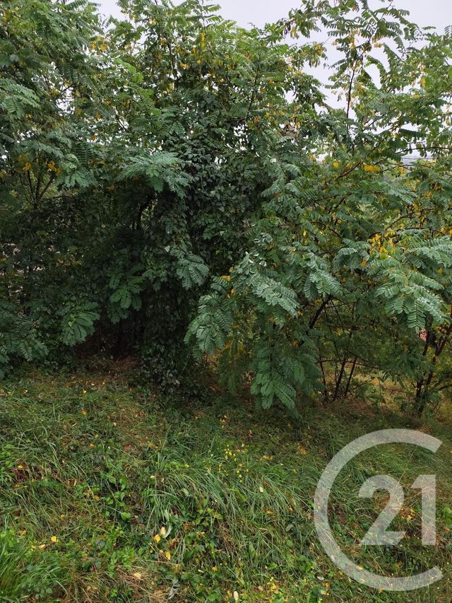 terrain à vendre - 719.0 m2 - BURLATS - 81 - MIDI-PYRENEES - Century 21 C.G.I.