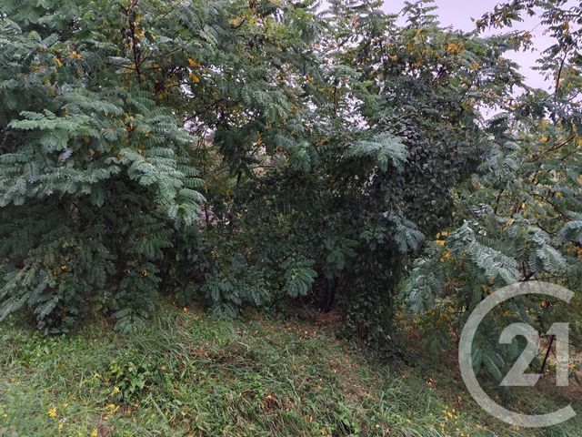 terrain à vendre - 719.0 m2 - BURLATS - 81 - MIDI-PYRENEES - Century 21 C.G.I.