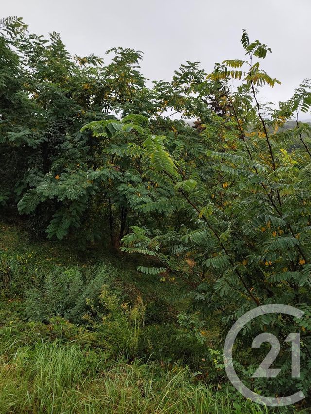 terrain à vendre - 719.0 m2 - BURLATS - 81 - MIDI-PYRENEES - Century 21 C.G.I.