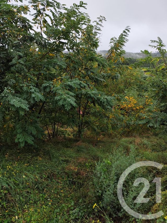 terrain à vendre - 719.0 m2 - BURLATS - 81 - MIDI-PYRENEES - Century 21 C.G.I.