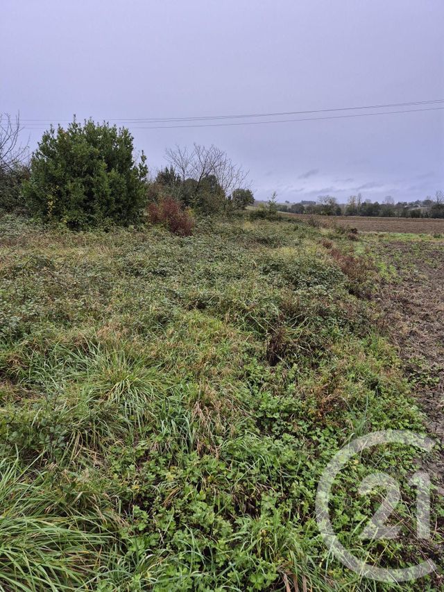 terrain à vendre - 1160.0 m2 - LAUTREC - 81 - MIDI-PYRENEES - Century 21 C.G.I.