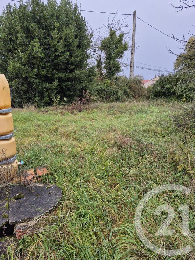 terrain à vendre - 1160.0 m2 - LAUTREC - 81 - MIDI-PYRENEES - Century 21 C.G.I.