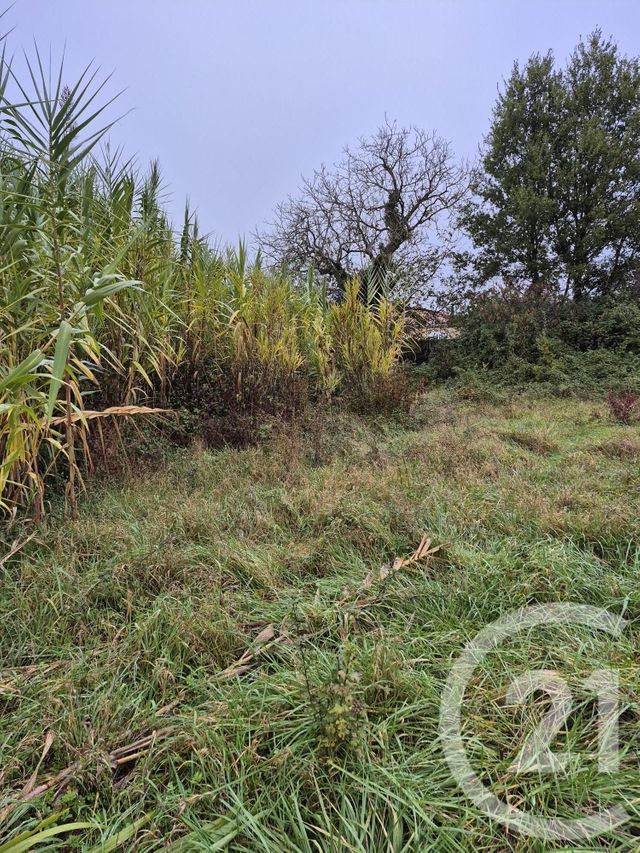 terrain à vendre - 1160.0 m2 - LAUTREC - 81 - MIDI-PYRENEES - Century 21 C.G.I.