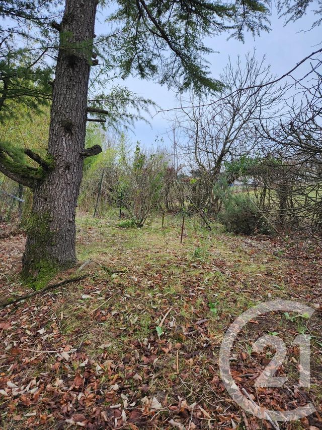 maison à vendre - 8 pièces - 287.5 m2 - CASTRES - 81 - MIDI-PYRENEES - Century 21 C.G.I.