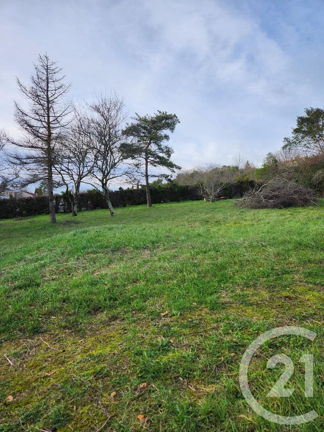 terrain à vendre - 1237.0 m2 - CASTRES - 81 - MIDI-PYRENEES - Century 21 C.G.I.