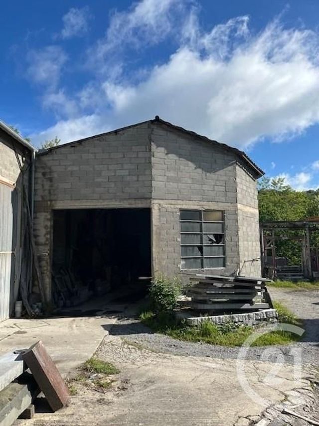 Immeuble à vendre ST SALVY DE LA BALME