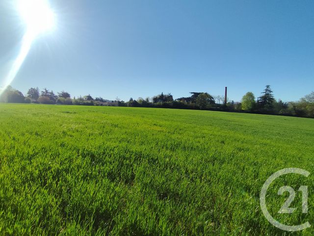 terrain à vendre - 32000.0 m2 - CASTRES - 81 - MIDI-PYRENEES - Century 21 C.G.I.