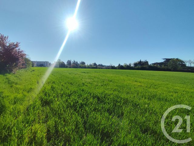 terrain - CASTRES - 81