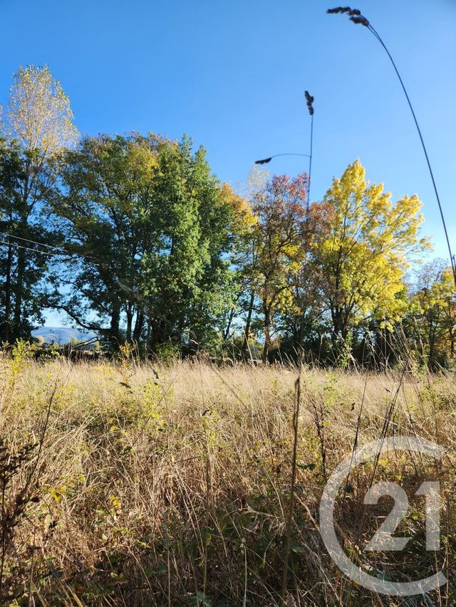 Afficher la photo en grand terrain à vendre - 900.0 m2 - LESCOUT - 81 - MIDI-PYRENEES - Century 21 C.G.I.
