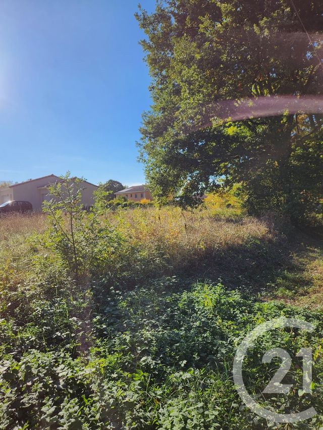 Afficher la photo en grand terrain à vendre - 900.0 m2 - LESCOUT - 81 - MIDI-PYRENEES - Century 21 C.G.I.