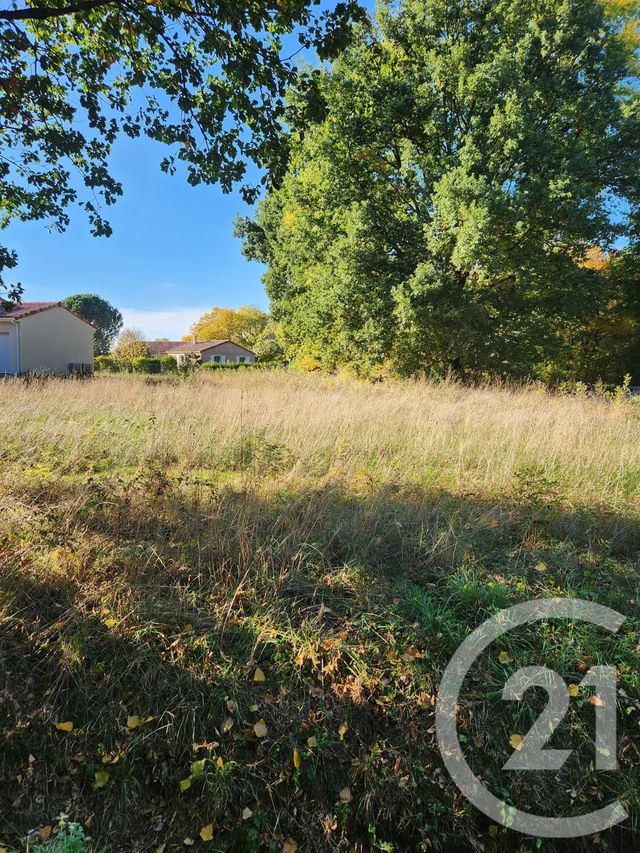 Afficher la photo en grand terrain à vendre - 900.0 m2 - LESCOUT - 81 - MIDI-PYRENEES - Century 21 C.G.I.