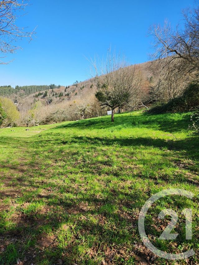 maison à vendre - 3 pièces - 59.71 m2 - VABRE - 81 - MIDI-PYRENEES - Century 21 C.G.I.