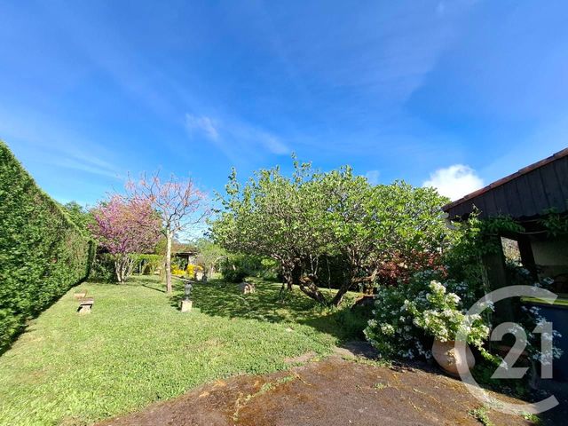 maison à louer - 6 pièces - 160.0 m2 - CASTRES - 81 - MIDI-PYRENEES - Century 21 C.G.I.