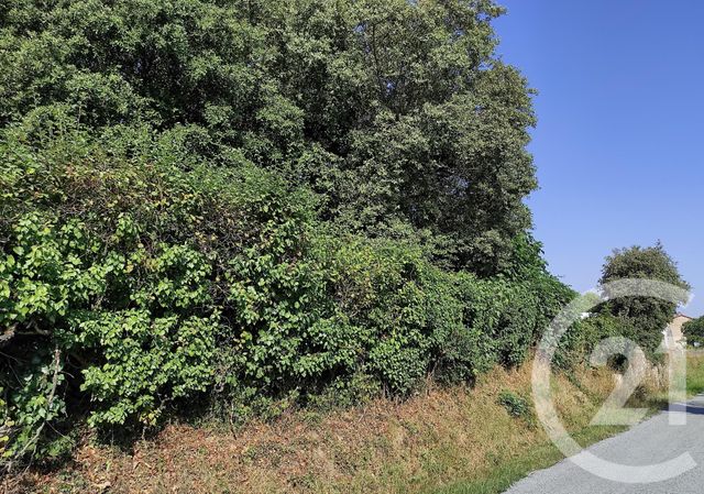 terrain à vendre - 825.0 m2 - VENES - 81 - MIDI-PYRENEES - Century 21 C.G.I.