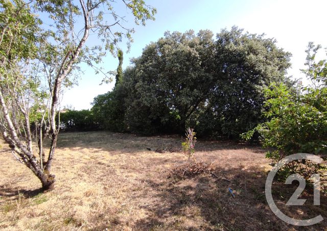 terrain à vendre - 1389.0 m2 - VENES - 81 - MIDI-PYRENEES - Century 21 C.G.I.