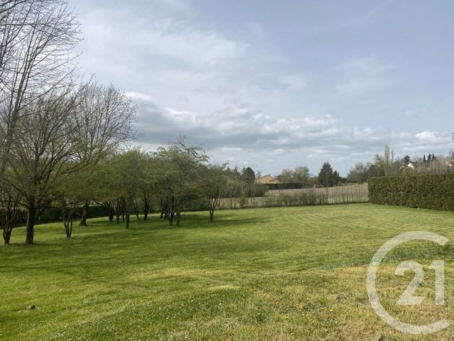 maison à louer - 4 pièces - 93.0 m2 - CASTRES - 81 - MIDI-PYRENEES - Century 21 C.G.I.