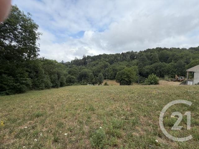 terrain à vendre - 3968.0 m2 - LE BEZ - 81 - MIDI-PYRENEES - Century 21 C.G.I.