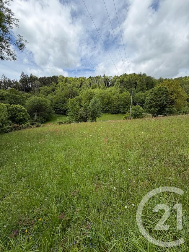 terrain à vendre - 3968.0 m2 - LE BEZ - 81 - MIDI-PYRENEES - Century 21 C.G.I.