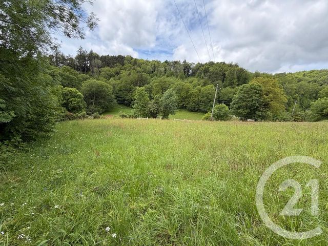 terrain à vendre - 3968.0 m2 - LE BEZ - 81 - MIDI-PYRENEES - Century 21 C.G.I.