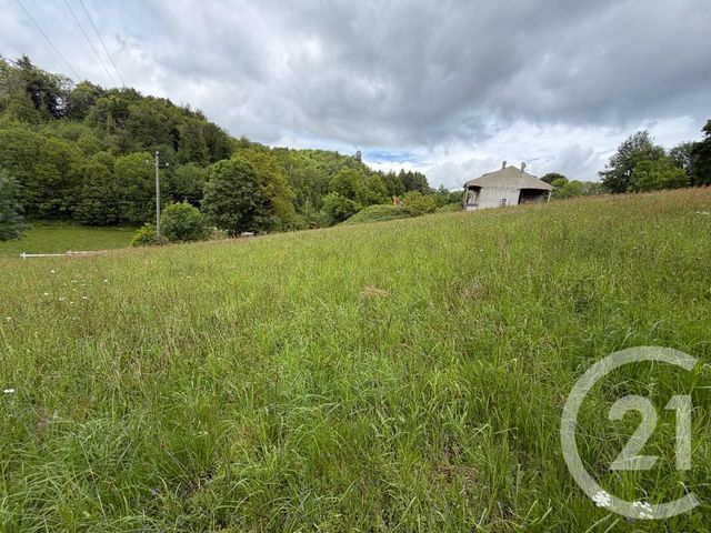 terrain à vendre - 3968.0 m2 - LE BEZ - 81 - MIDI-PYRENEES - Century 21 C.G.I.